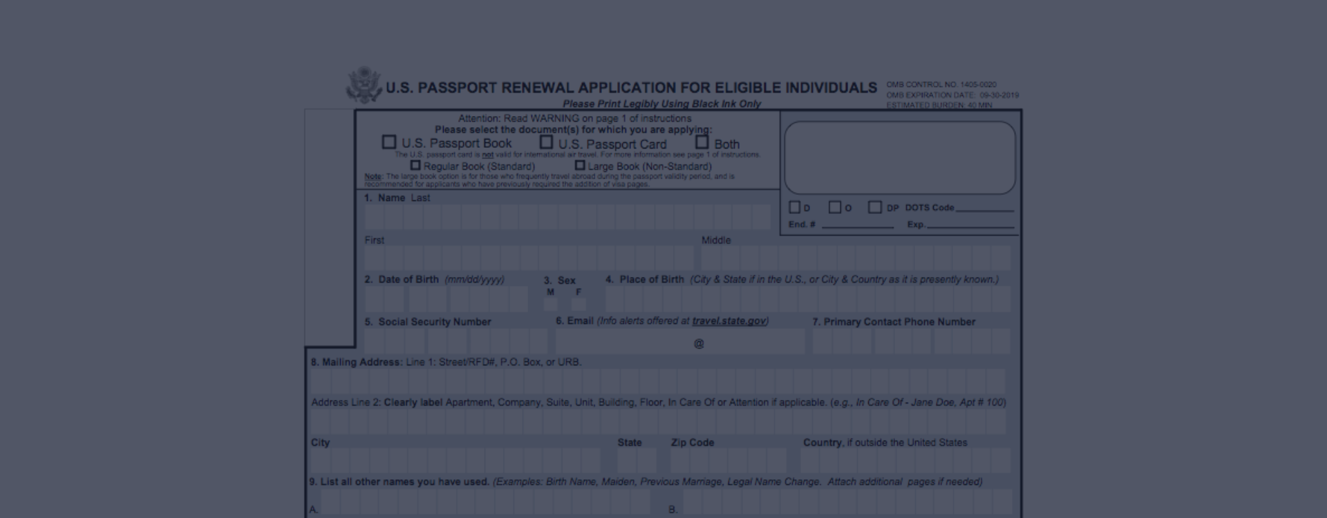 DS82 Printable Form ↳ DS82 US Passport Renewal Application PDF for